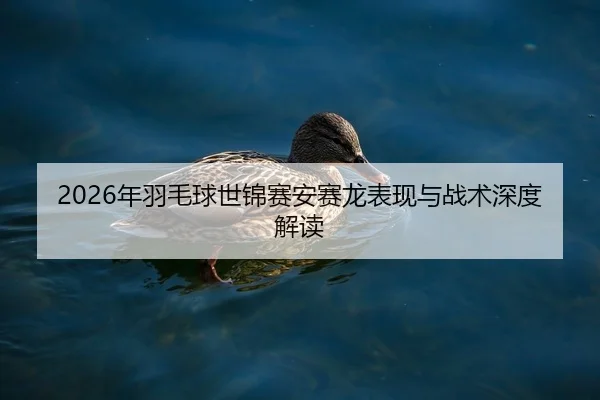 2026年羽毛球世锦赛安赛龙表现与战术深度解读
